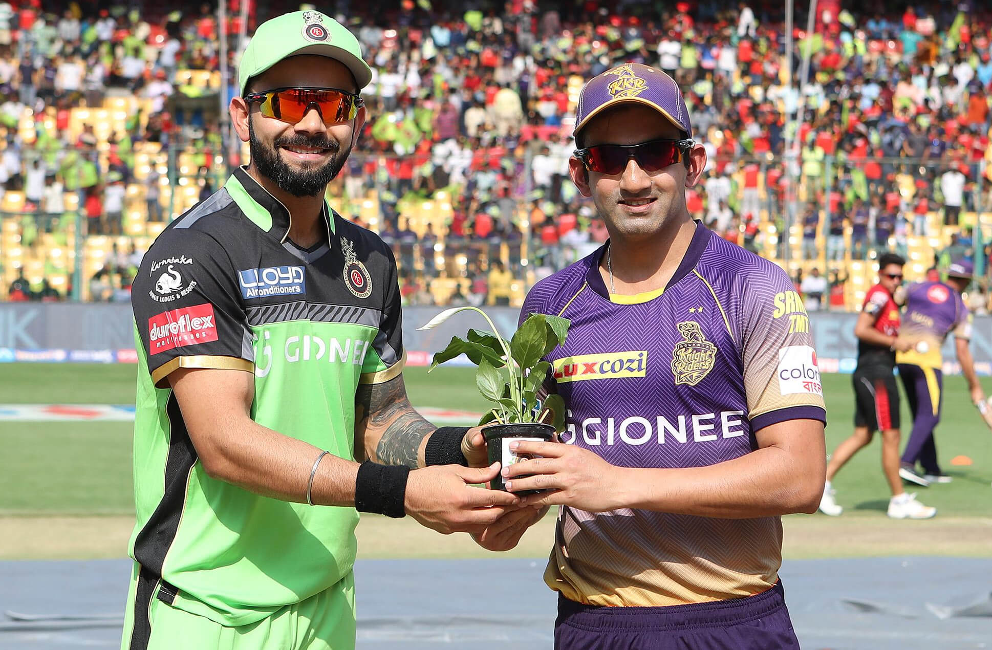 rcb-virat-kohli-and-kkr-gautam-gambhir-rcb-green-jersy-plant